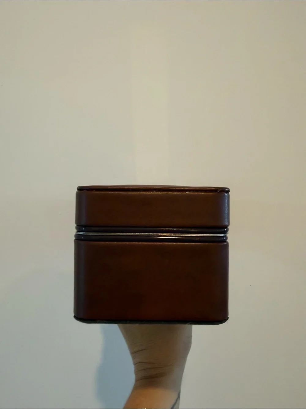 Chic Brown Leather Watch Storage Case